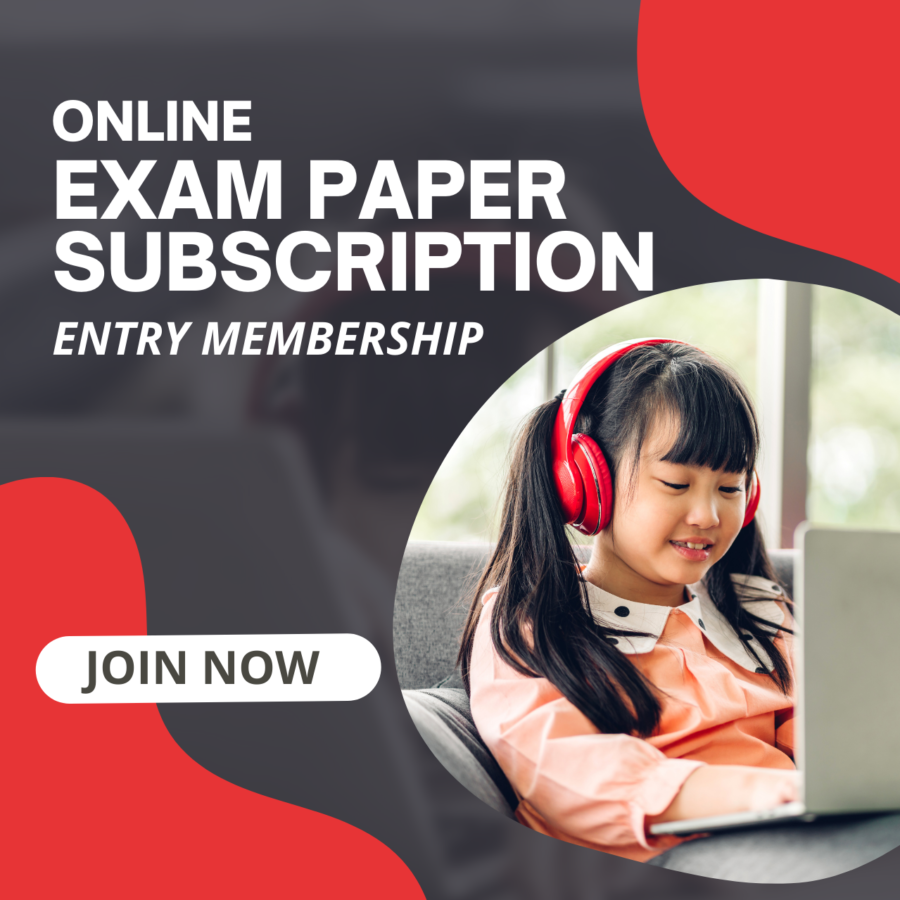 girl using exam paper solutions online